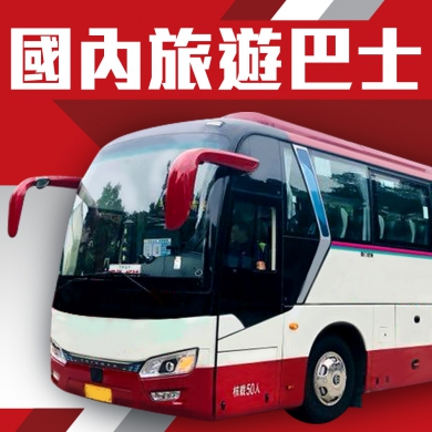 國内旅遊巴士服務